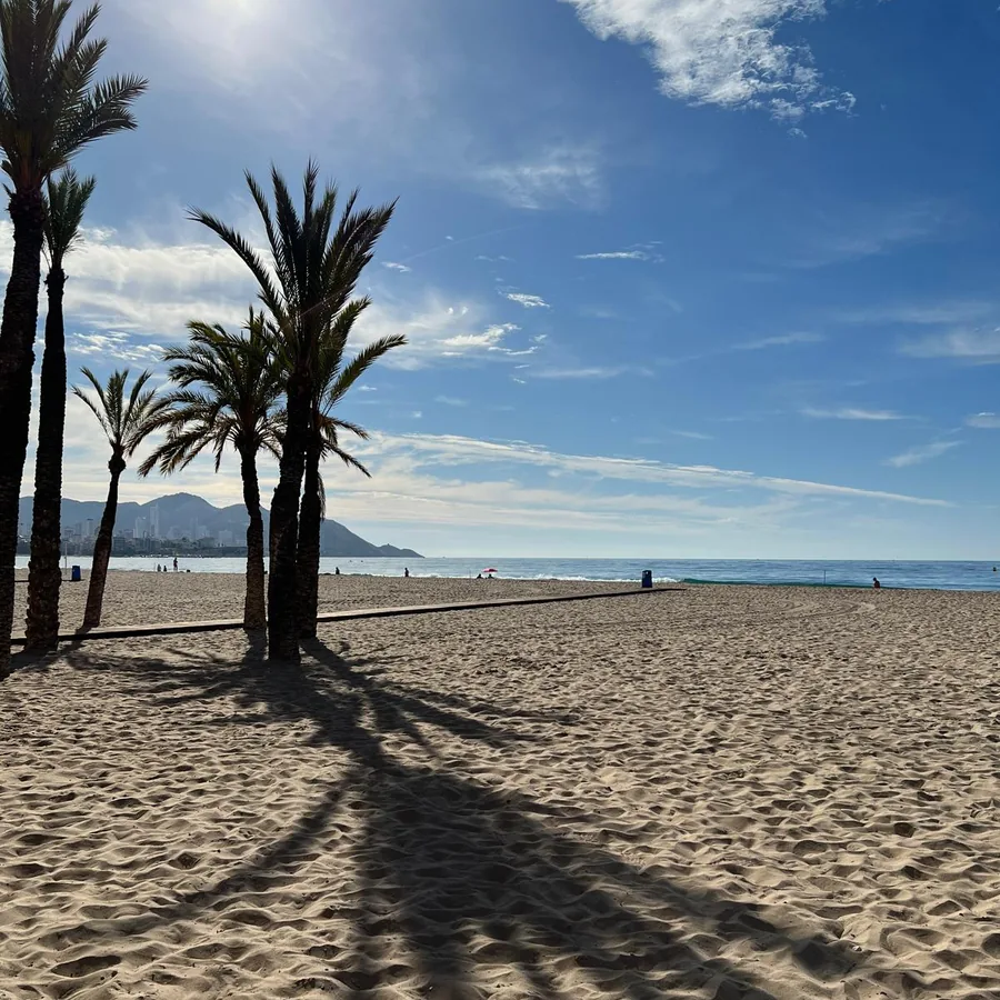 Pusta plaża w Benidorm o poranku, cienie palm na piasku